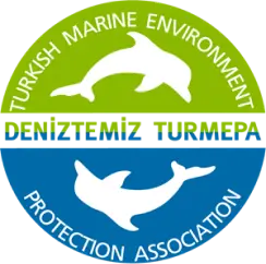 Turmepa